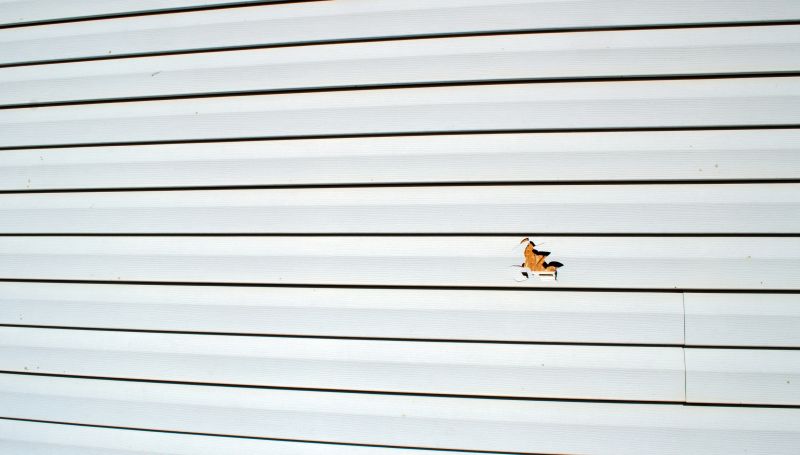 Home Siding Repair in Park County, CO