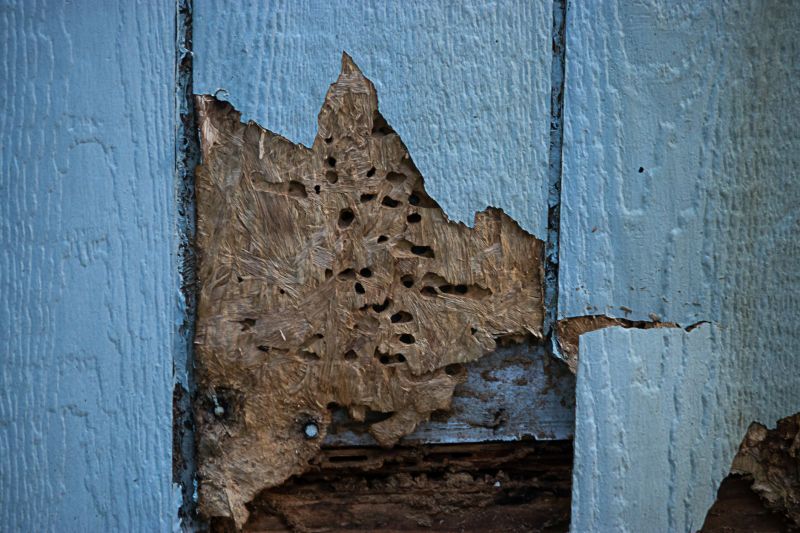 Home Siding Repair in Park County, CO