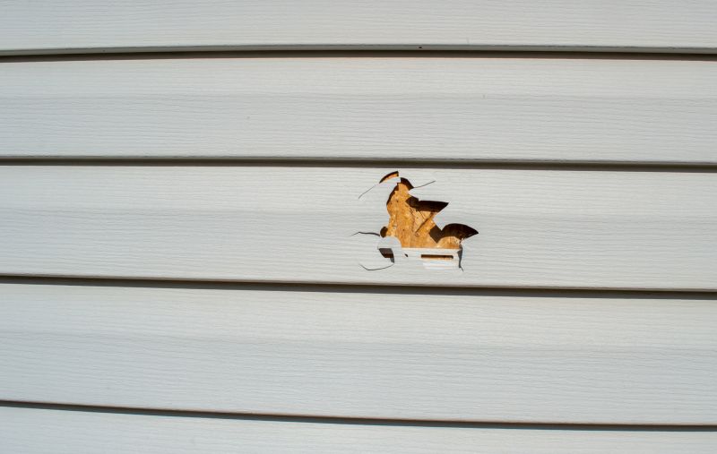 Loose Cladding Repair in Jefferson County, CO